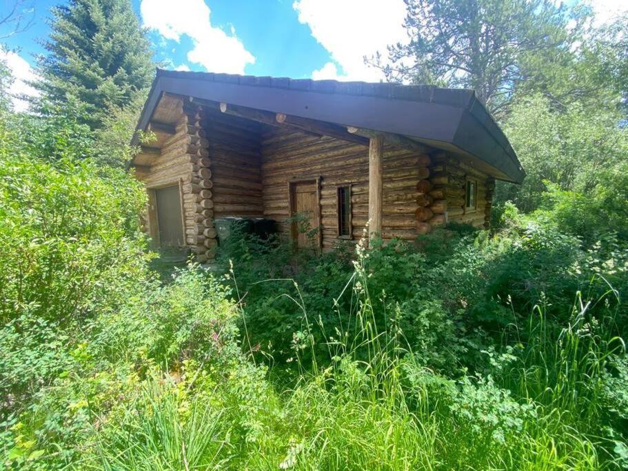 Aspen'S Cabin Wilson Extérieur photo
